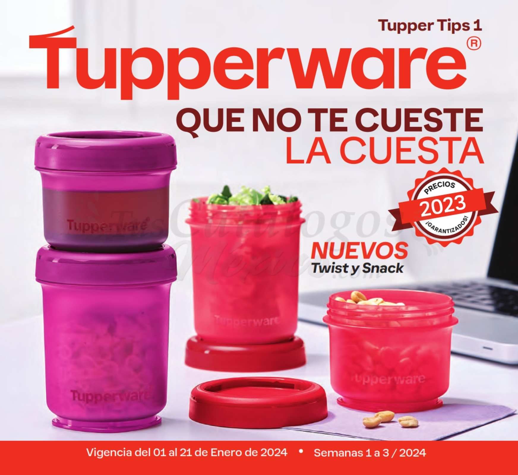 Catalogo Tupperware Tupper Tips 1 2024